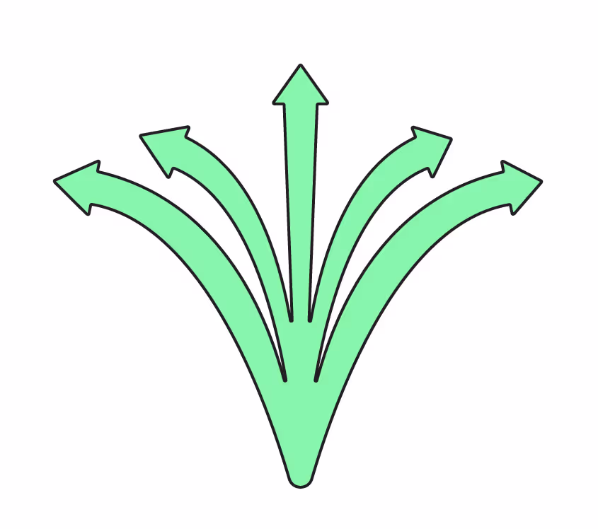 The different Supply Support course options